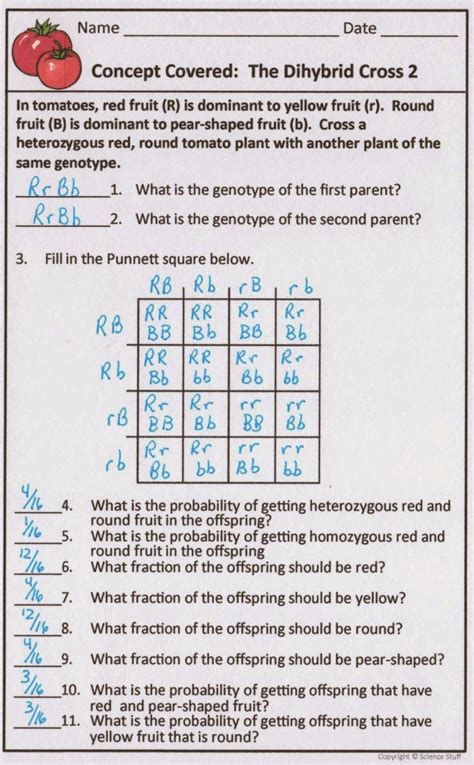 Instructions For each problem, complete a dihybrid cross and calculate the ratios of each genotype. . Monohybrid cross genetics problems